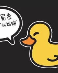 好鸭子呀怎么组词