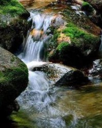 安静的静怎么组词(安静的静怎么组词儿?)