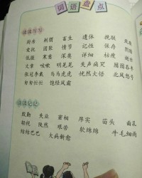 迫组词语(迫组词语和拼音怎么写)