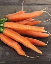 胡萝卜的卜组词