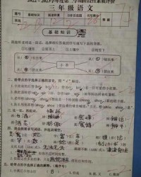 股可以怎么组词(股可以怎么组词四字成语)