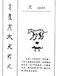 犬的组词(犬的组词怎么组)