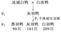 羽和果怎么组词
