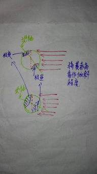 极昼的极怎么组词