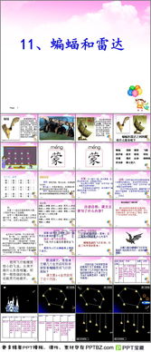 蝙蝠能怎么组词呢