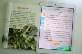 验组词怎么读