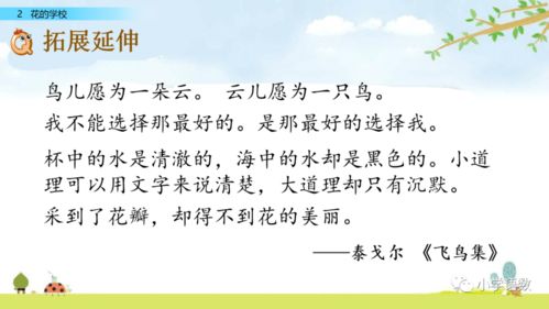 晌午的裳怎么组词