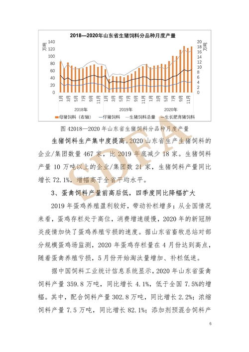 山东省的怎么组词