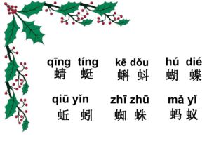 蜻和蜓字怎么读怎么组词