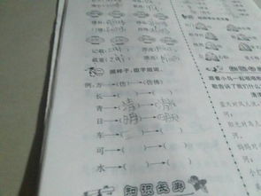 狼爪爪怎么组词