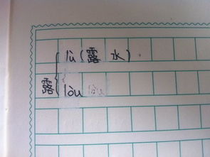 知字怎么组词
