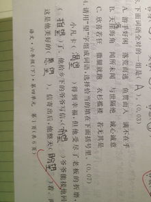 怎么组词先怎么组词