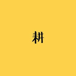 杂耍的杂能怎么组词