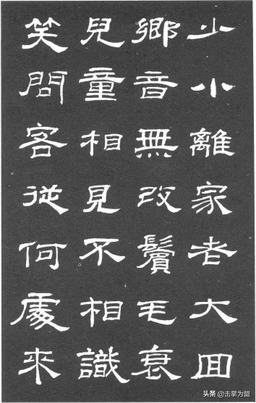 隶书怎么组词啊