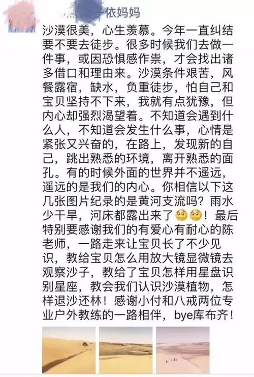 小布日志怎么组词