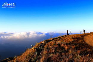 高山组词