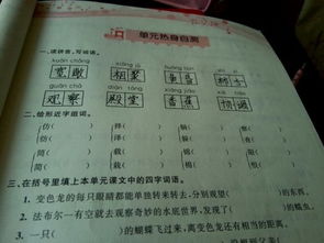 柔怎么组词柔