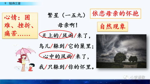 萝怎怎么组词