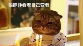 和啊哈怎么组词