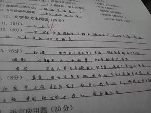 飞翔的翔怎么组词怎么写