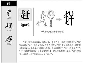 荰在后面怎么组词