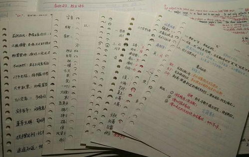 小度九九怎么组词