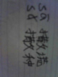 细雨的与怎么组词