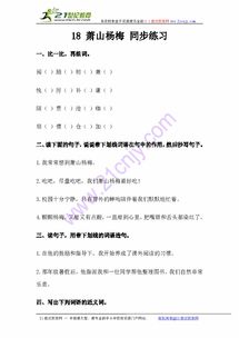 兼怎么组词