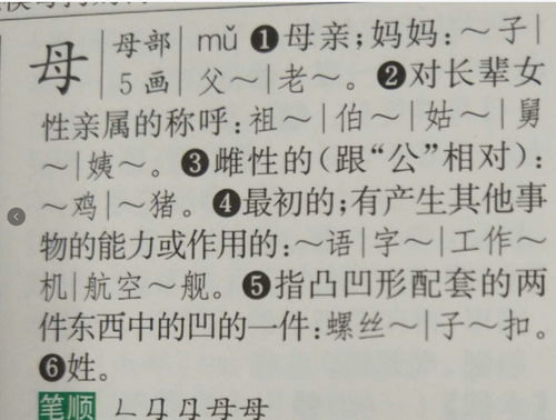 筋开头怎么组词