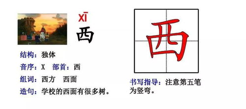 动画的怎么组词