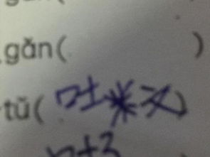 干嘛干嘛的怎么组词