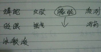 蜡烛的竹字怎么组词