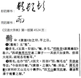 而组词怎么
