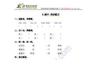续组词怎么写