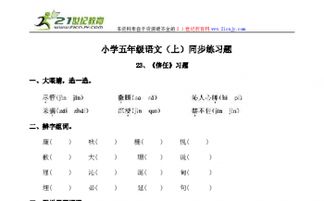 眼睛怎么组词的