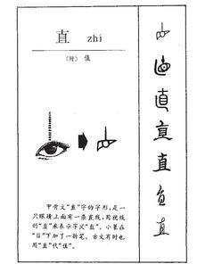 姚的拼音怎么组词和部首