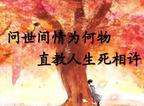 许怎么组词