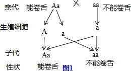 忌组词怎么写