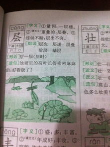 家是什么家组词怎么写