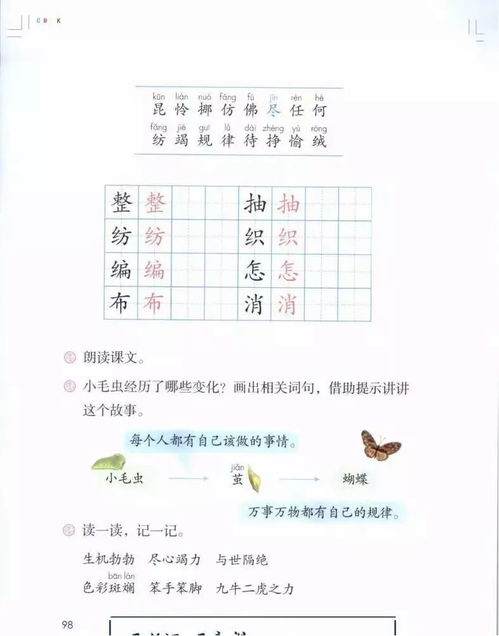 课本的本本的组词怎么组