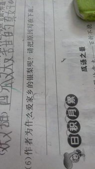匆匆冲冲怎么组词
