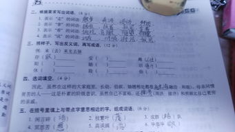 存的成语和组词怎么写