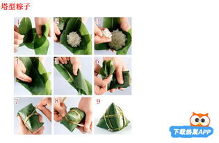 粽子种子的种怎么组词