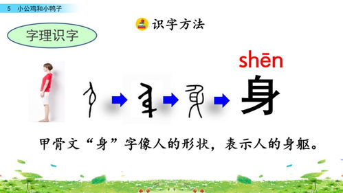 鸭怎么组词