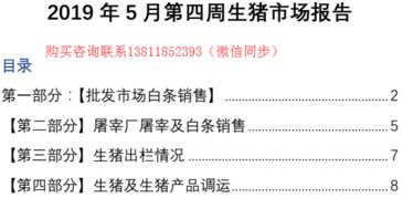 肥膘可以怎么组词