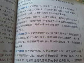 搜索句的组词怎么写
