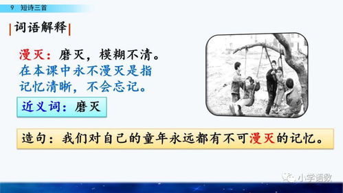 藤能怎么组词