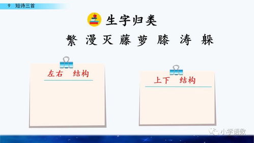 藤能怎么组词