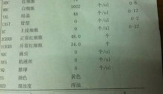 尿检怎么组词