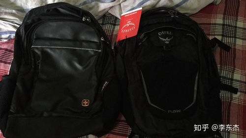 背包的背和背怎么组词